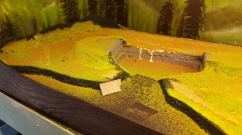 Finished the fascia a few days ago so I started with the scenery today with adding first grass. Since we are well into September I thought it would be appropriate to add some brown tones to the grass.