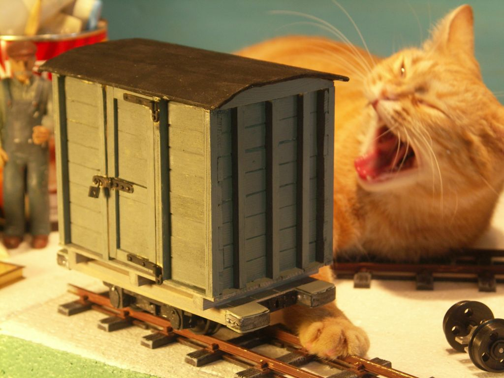 Pict2854 -- Cat abuse? no just yawning..
