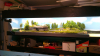 2020  -- shelf from a bit distance