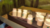 4215449  -- Dam walls glued in place