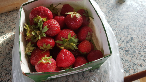 185333  -- todays dessert ..