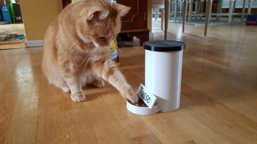 171359  -- Tusse is inspecting it