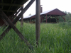 Pict2565