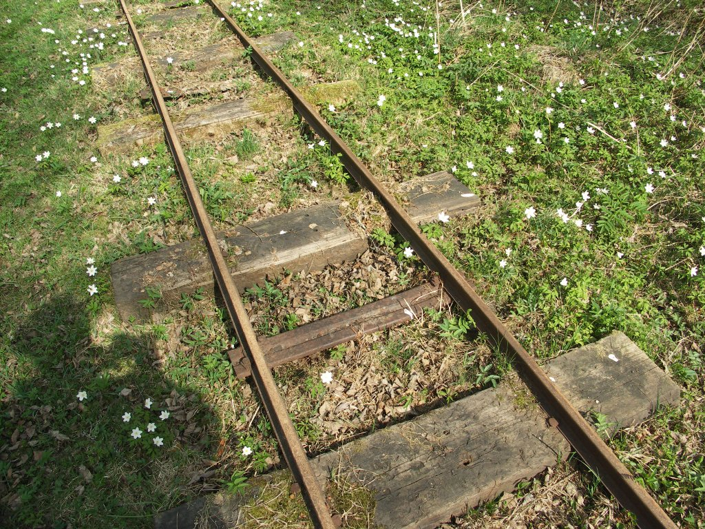 click for next picture