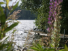 Pict0544